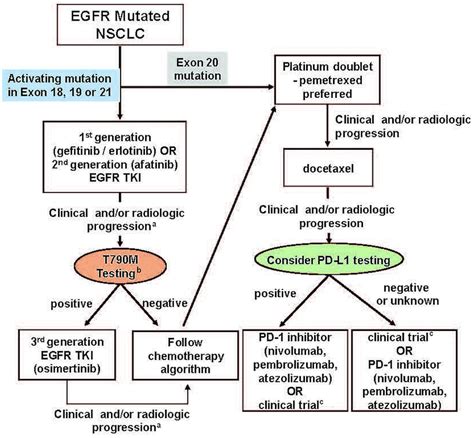 For Advanced Lung Cancer With the EGFR Mutation,。